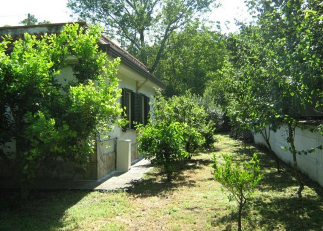 Villa Jose Baiano (Avellino) Exterior foto